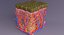 epithelial cells types collection