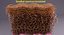 epithelial cells types collection