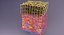 epithelial cells types collection