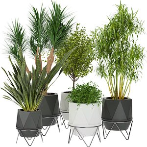 3D Collection plant vol 229