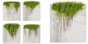 Collection plant vol 504 - blender 3D model