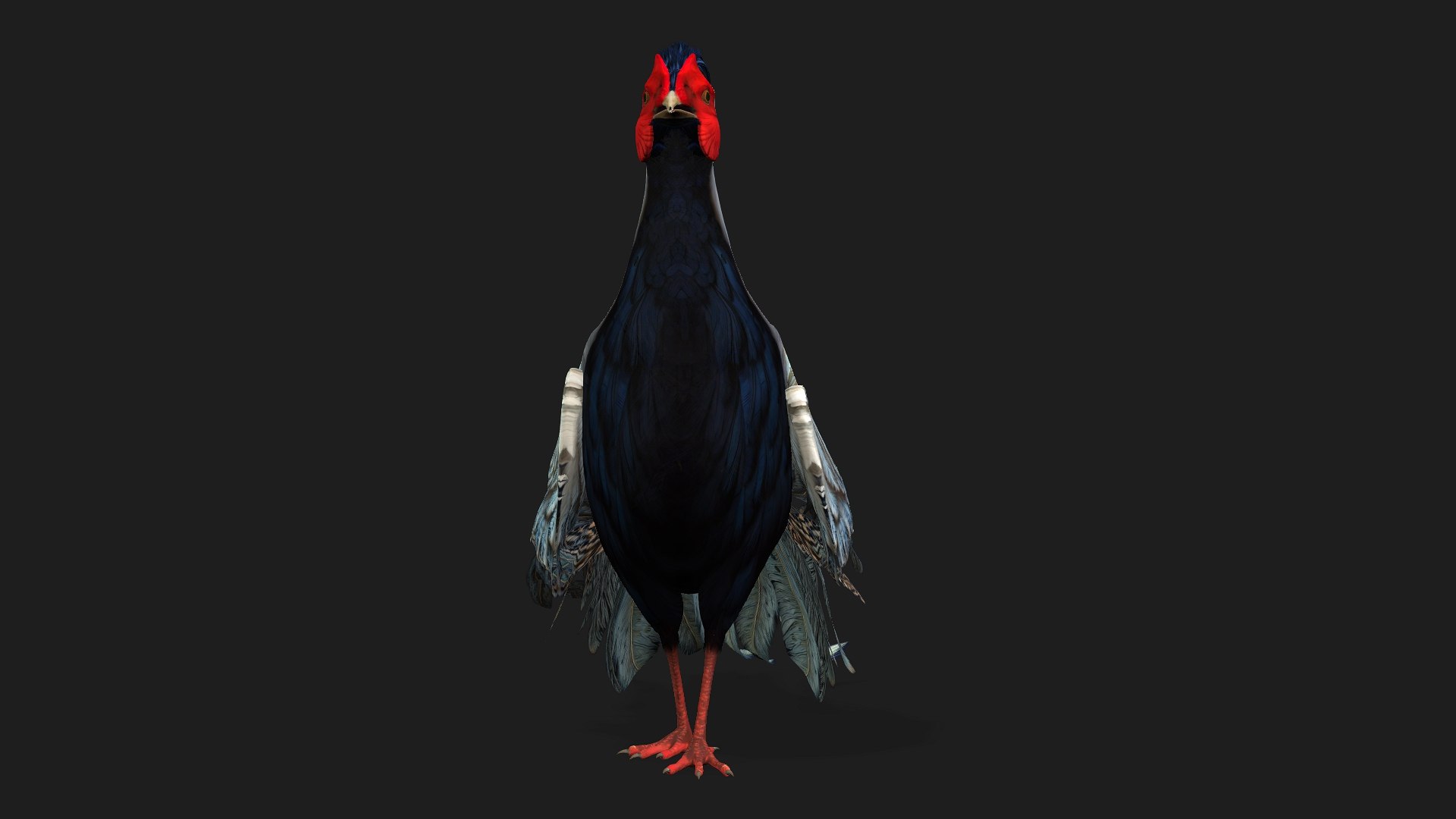 3D White Pheasant-A2 model https://p.turbosquid.com/ts-thumb/LS/OsxadU/4w/preview07/jpg/1759465639/1920x1080/fit_q87/f54b77bbac6c2c7ad7ca8f28543c4aa4aada6147/preview07.jpg