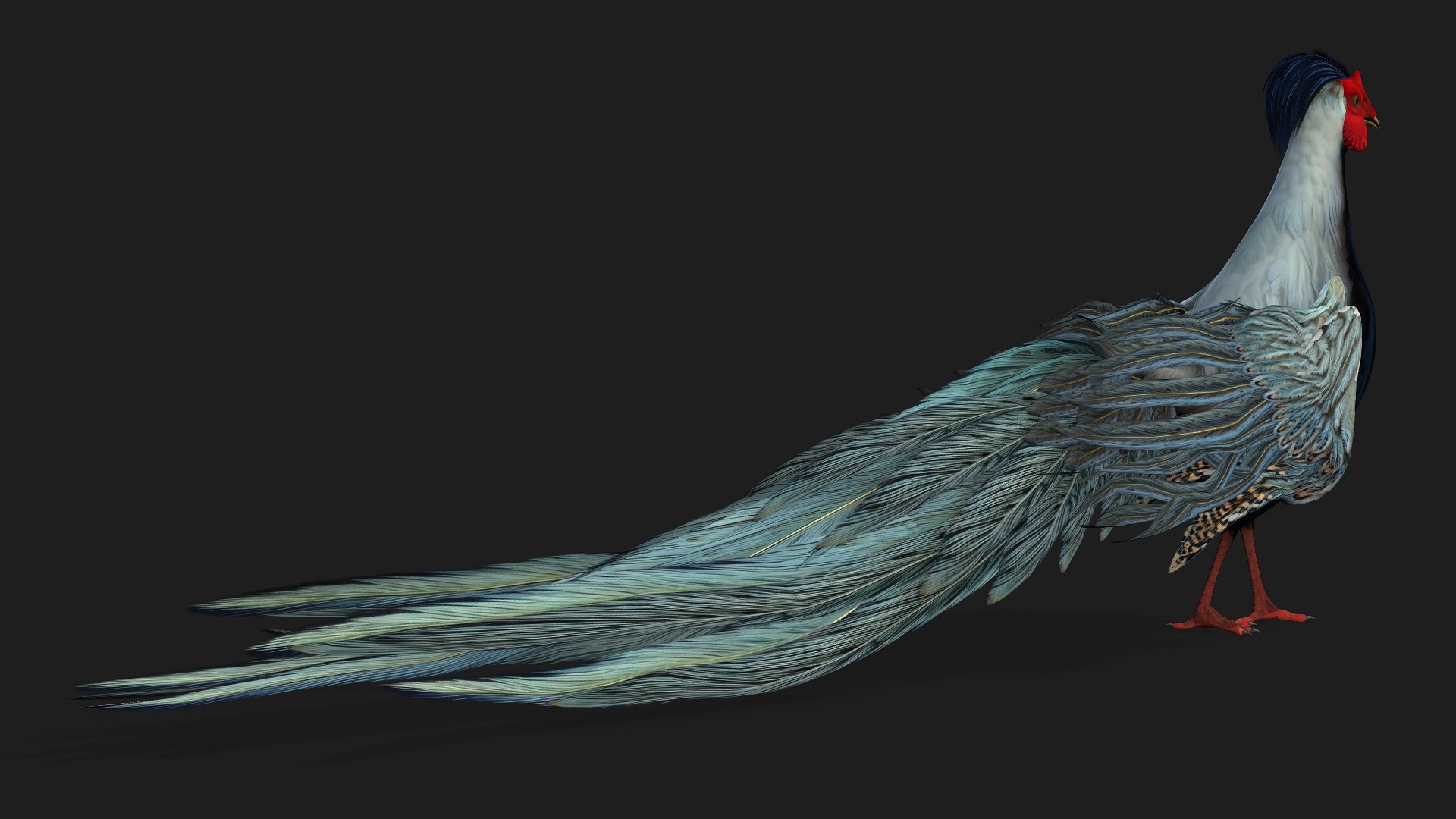 3D White Pheasant-A2 model https://p.turbosquid.com/ts-thumb/LS/OsxadU/Me/preview04/jpg/1759465638/1920x1080/fit_q87/d432b230a2180abbeb0b6006324fbf55e896111a/preview04.jpg