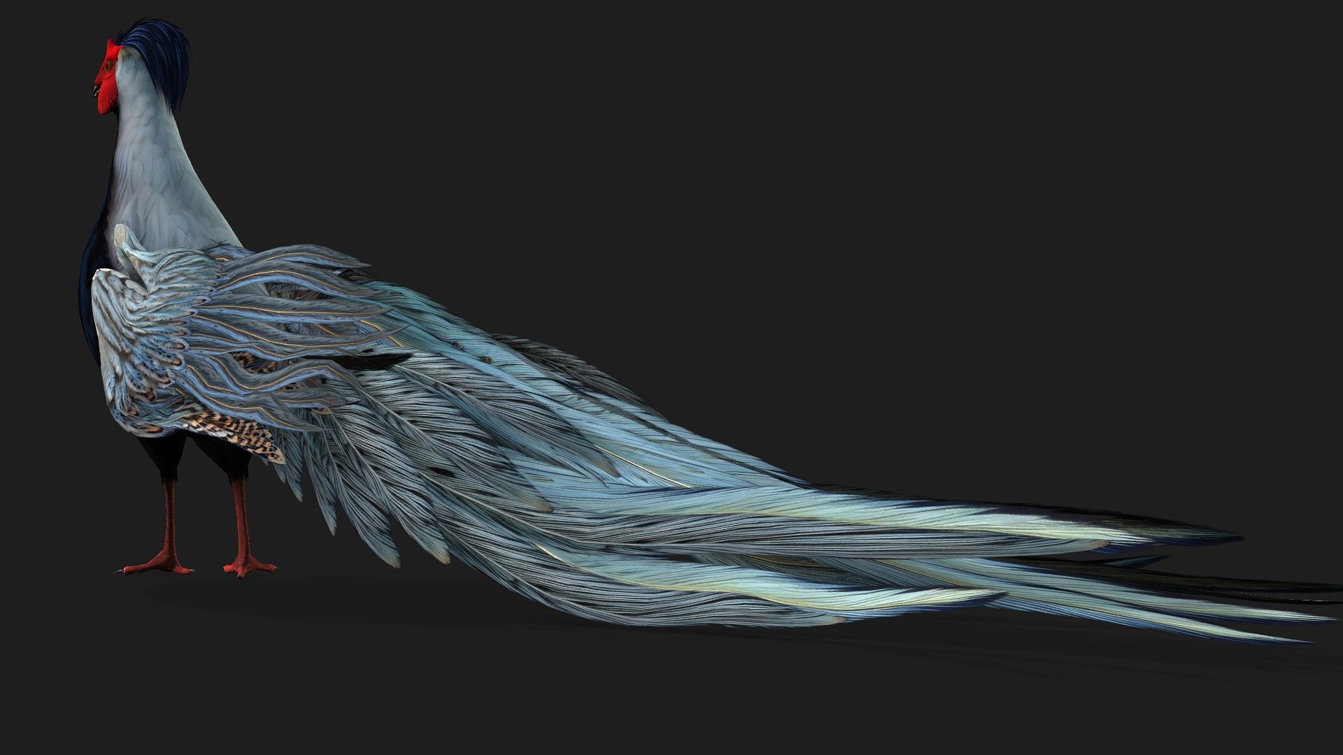 3D White Pheasant-A2 model https://p.turbosquid.com/ts-thumb/LS/OsxadU/OH/preview05/jpg/1759465639/1920x1080/fit_q87/22c07f63d789f7b9ef9ff57242122ba59adad607/preview05.jpg