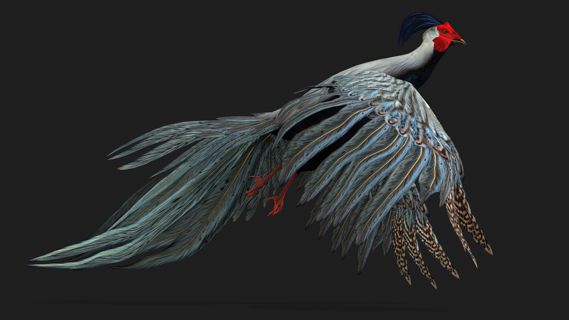 3D White Pheasant-A2 model https://p.turbosquid.com/ts-thumb/LS/OsxadU/Oh/preview09/jpg/1759465640/1920x1080/fit_q87/407c80ae07a3f78f4885383cc4787cb87f04c124/preview09.jpg