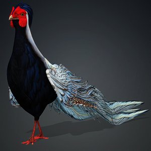 White Pheasant-A2