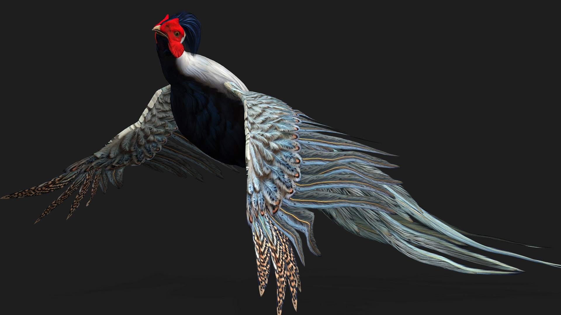 3D White Pheasant-A2 model https://p.turbosquid.com/ts-thumb/LS/OsxadU/fX/preview11/jpg/1759465641/1920x1080/fit_q87/d4718b8e0288edbdb84085da1458c0c1749848c6/preview11.jpg
