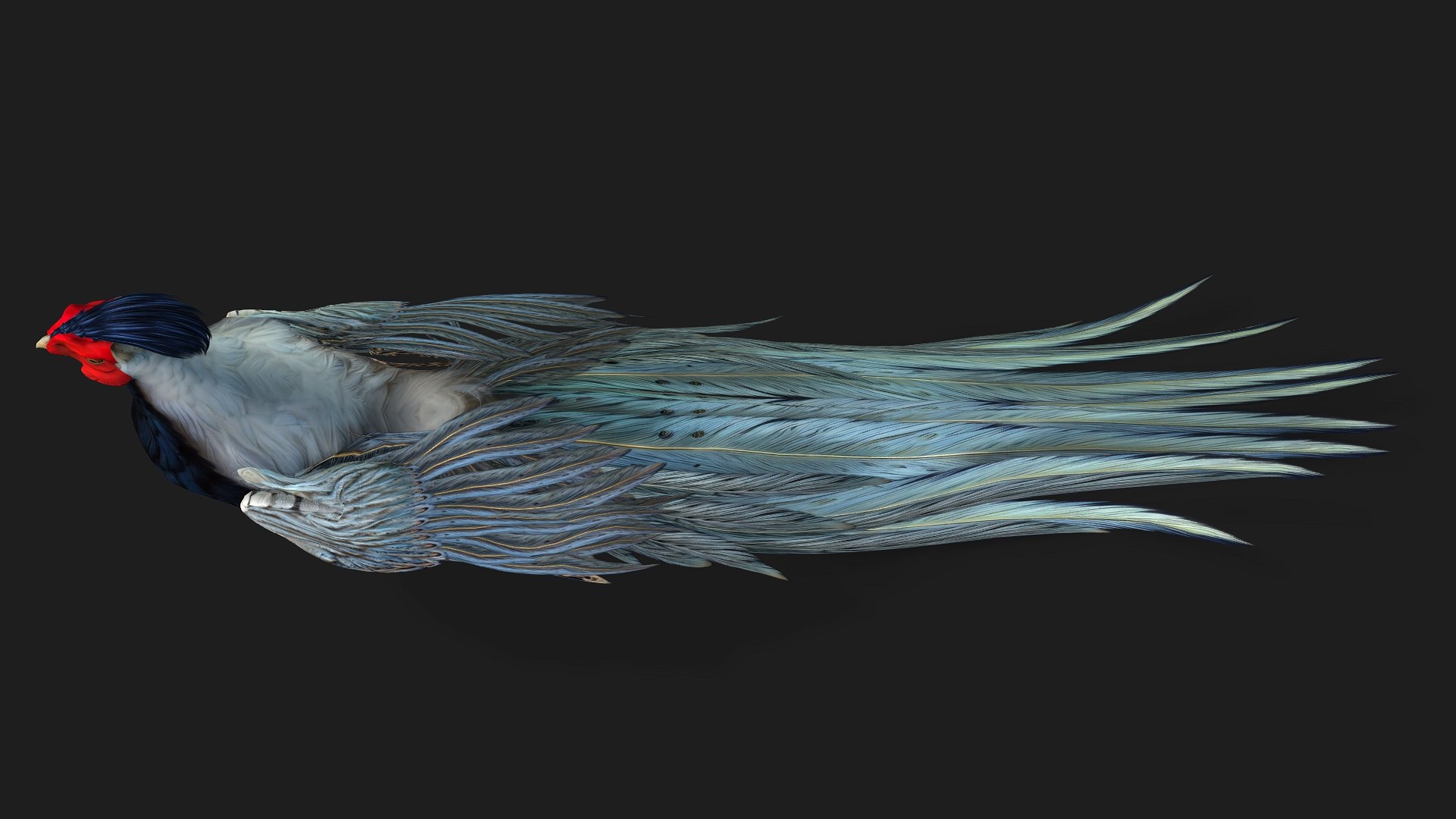 3D White Pheasant-A2 model https://p.turbosquid.com/ts-thumb/LS/OsxadU/vd/preview06/jpg/1759465639/1920x1080/fit_q87/33d50caba44f6a9824b993e0dcd62fe20c143964/preview06.jpg