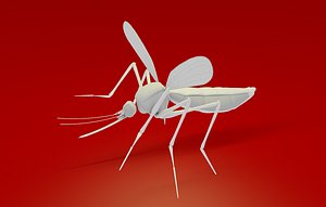 c4d aedes midge gnat mosquito