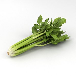 3D celery