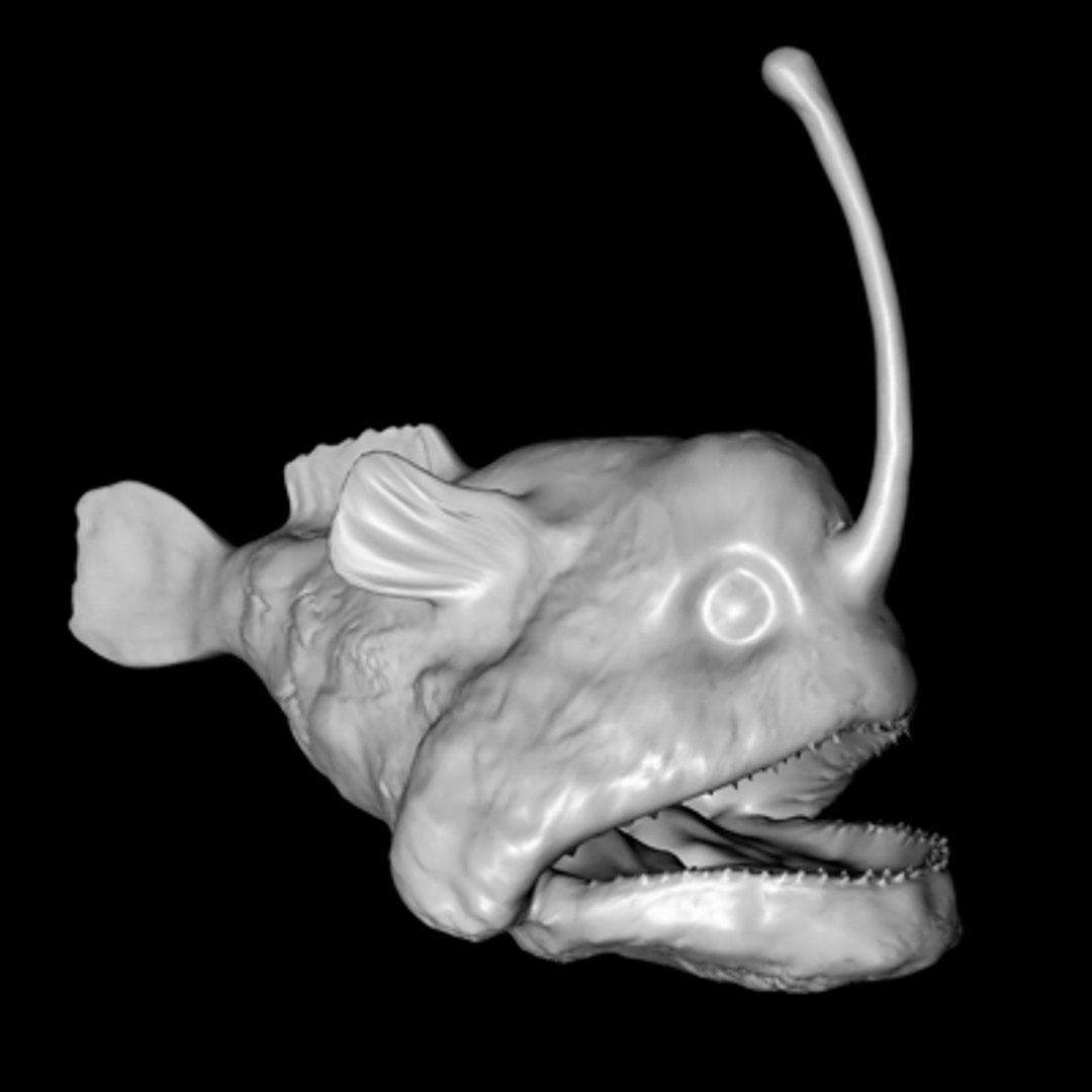  https://p.turbosquid.com/ts-thumb/LS/ZO7Znm/2khPqPmu/anglerfish12/jpg/1173401881/1920x1080/fit_q87/5df23bceb599c3b6117f3aa9c3a0be98549d3bc3/anglerfish12.jpg