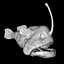 Angler Fish / Sea Devil