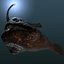 Angler Fish / Sea Devil