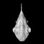 Angler Fish / Sea Devil