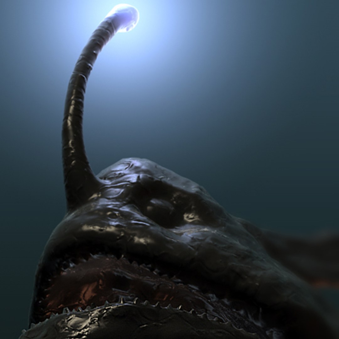  https://p.turbosquid.com/ts-thumb/LS/ZO7Znm/WObEPKQ0/anglerfish9/jpg/1173401852/1920x1080/fit_q87/f8d6125de653232c9cf9908db8f7d50715e4ccc2/anglerfish9.jpg