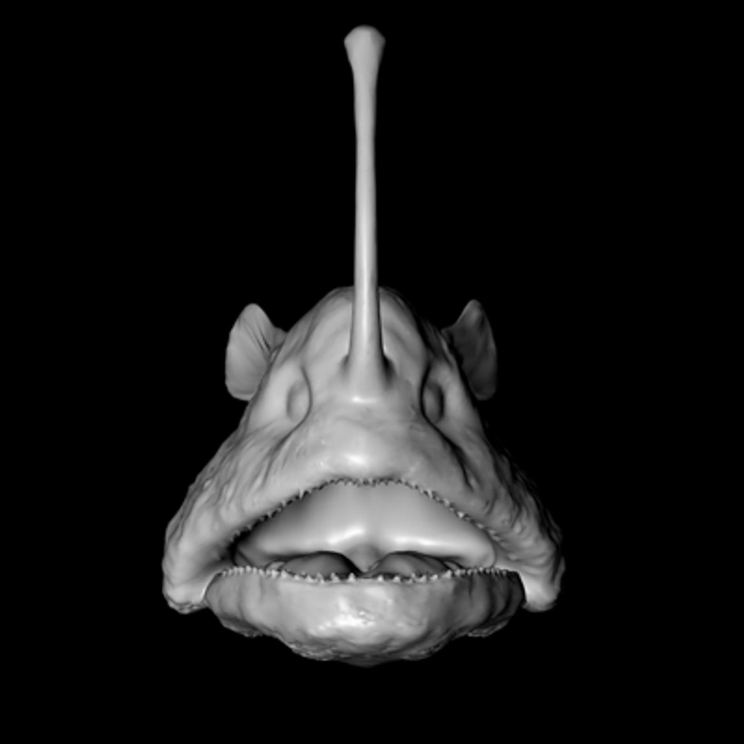  https://p.turbosquid.com/ts-thumb/LS/ZO7Znm/fBonXcVG/anglerfish11/jpg/1173402053/1920x1080/fit_q87/53a749b82931248c1df5c0a8f3db01857a646124/anglerfish11.jpg