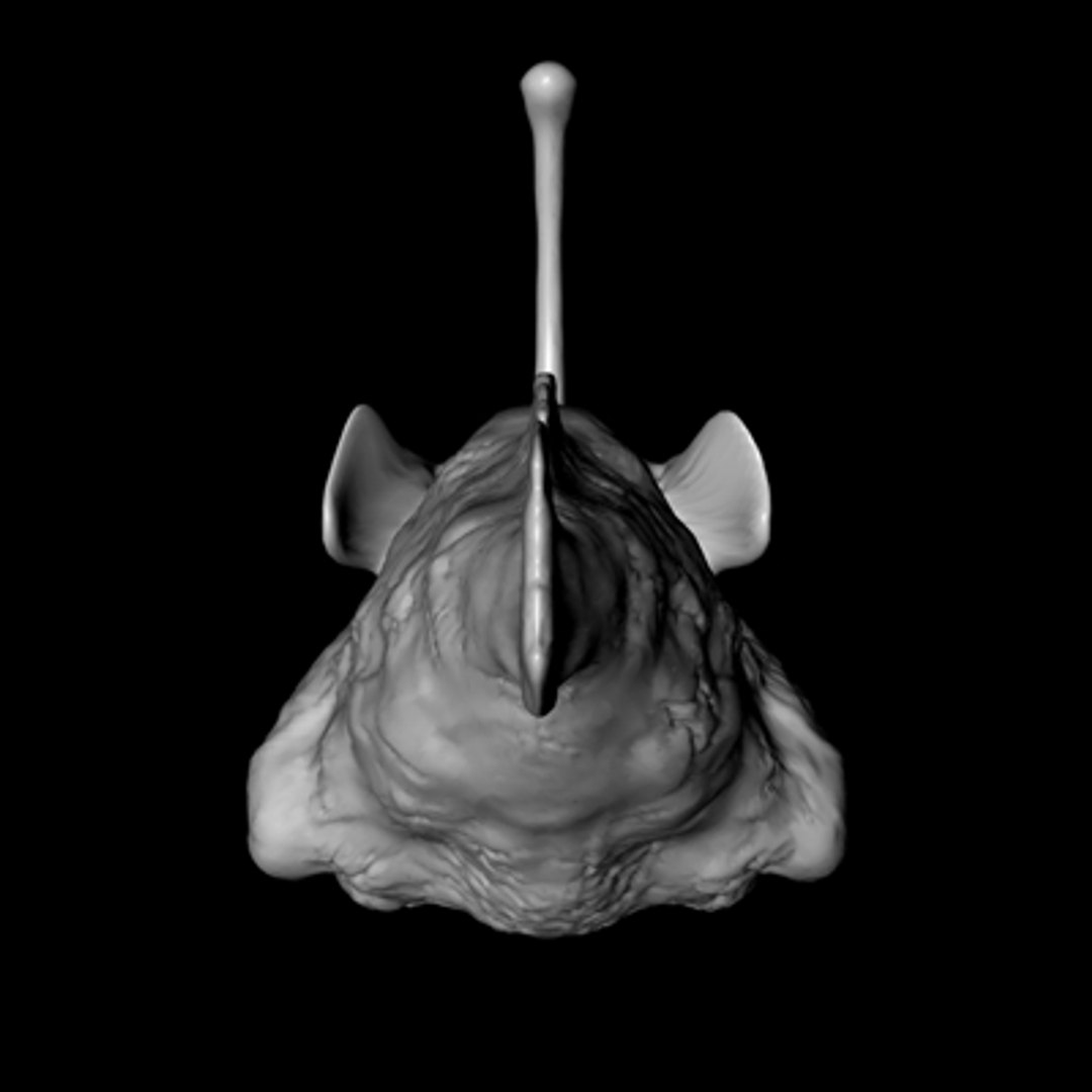  https://p.turbosquid.com/ts-thumb/LS/ZO7Znm/mVp50wa5/anglerfish16/jpg/1173402111/1920x1080/fit_q87/7b5995d23293a41dbade39f89f7972abadd443b2/anglerfish16.jpg