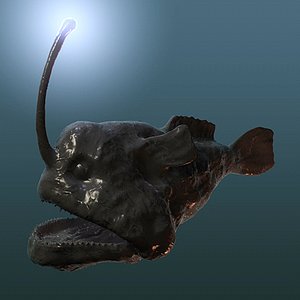 Angler Fish / Sea Devil