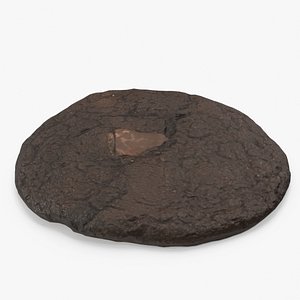 Double Chocolate Chip Cookie