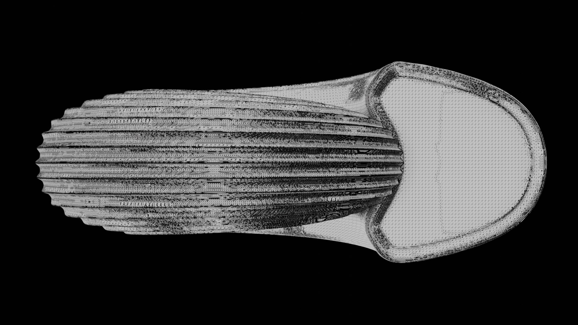Ammonoid Shell With Spiral Lines 3D Model - TurboSquid 2293678