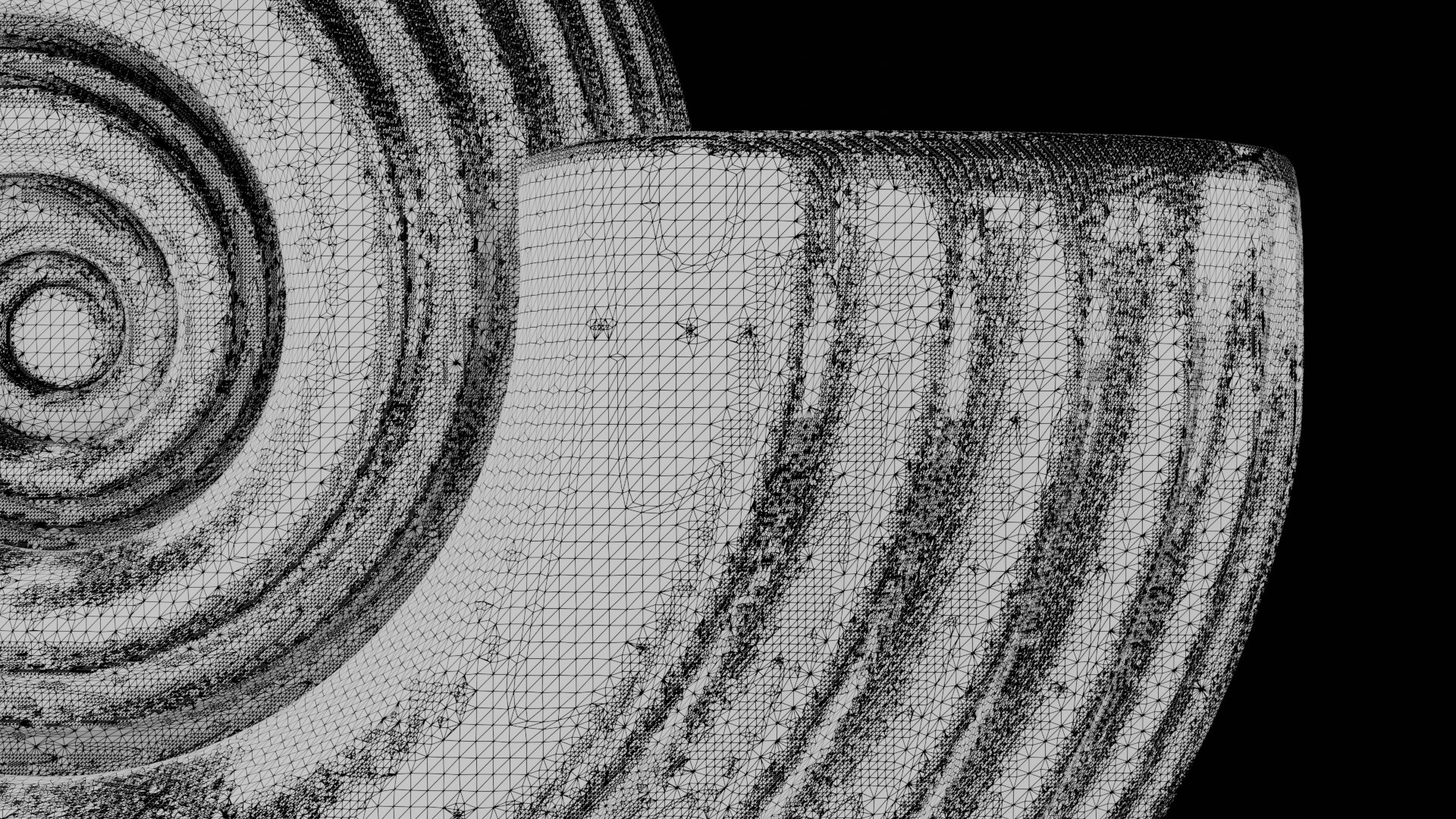 Ammonoid Shell With Spiral Lines 3D Model - TurboSquid 2293678