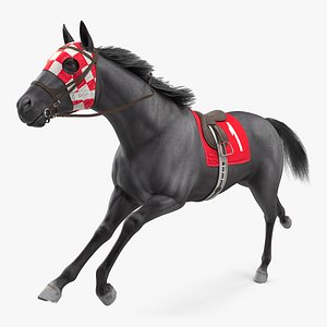 3D running racing horse fur