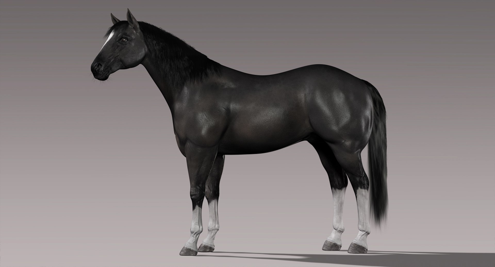 3d horses rigged fur https://p.turbosquid.com/ts-thumb/LS/wnoBuX/8EAr18s0/b/jpg/1428537452/1920x1080/fit_q87/cf49bd2a7267a3e5af97a67e52098d64bd52c62e/b.jpg