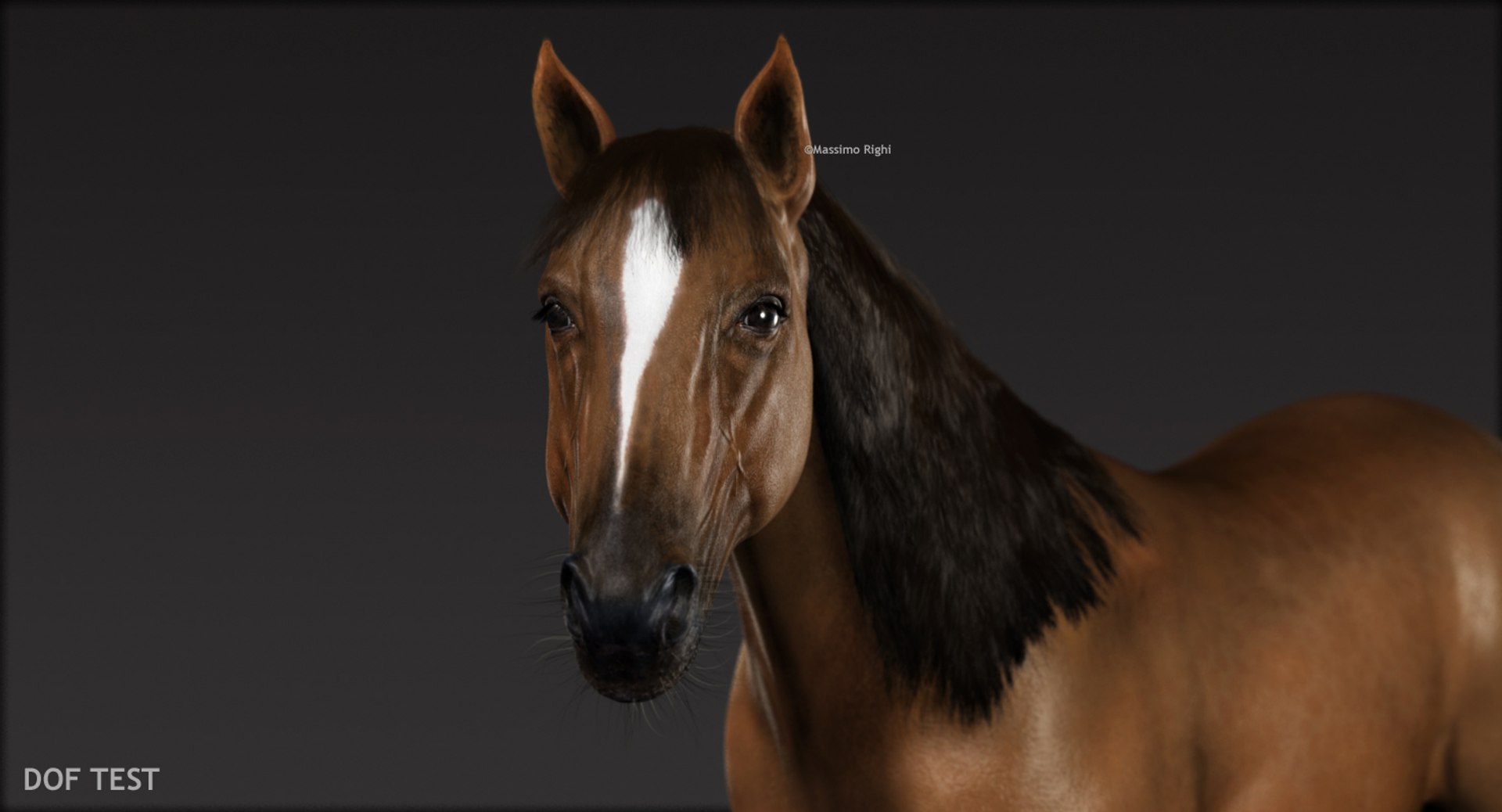 3d horses rigged fur https://p.turbosquid.com/ts-thumb/LS/wnoBuX/909YL4MH/dof/jpg/1428537399/1920x1080/fit_q87/3b7d8d0bef076a20a6d9822c8a19c8b65b421c06/dof.jpg