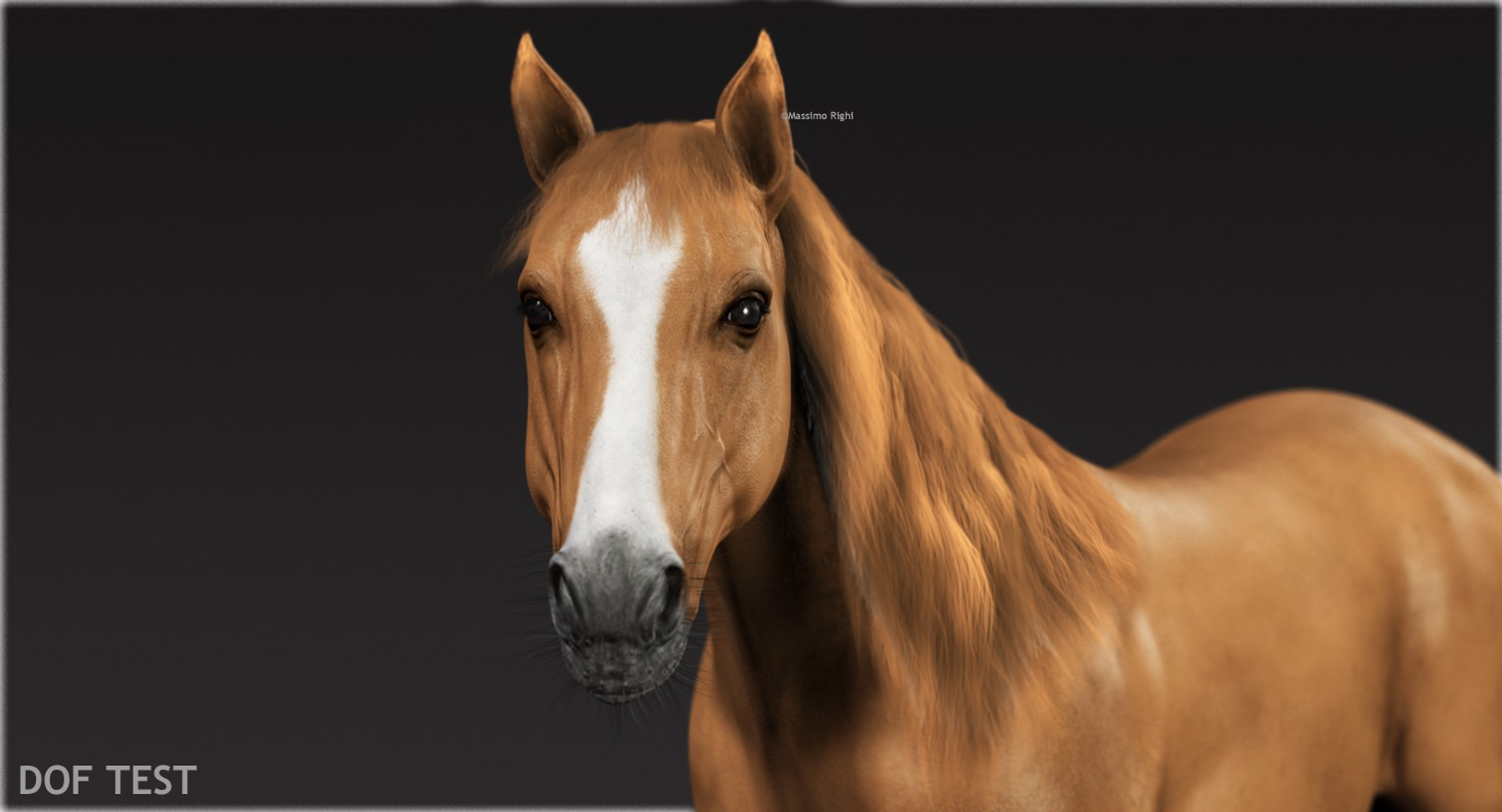 3d horses rigged fur https://p.turbosquid.com/ts-thumb/LS/wnoBuX/BpXBsCYy/dof/jpg/1428537275/1920x1080/fit_q87/d6c622f05d37b464e74b8f81ec67ce633eae9487/dof.jpg