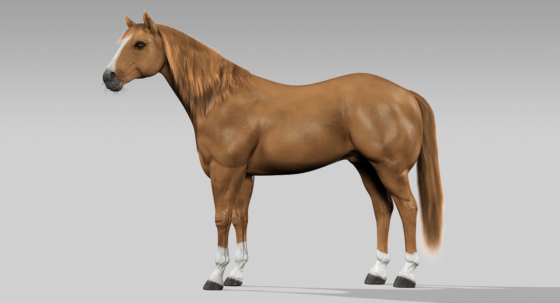 3d horses rigged fur https://p.turbosquid.com/ts-thumb/LS/wnoBuX/ByLrP5Vv/1/jpg/1428537275/1920x1080/fit_q87/2d4962076e8bb44f1936f32a58bb9504e650f792/1.jpg