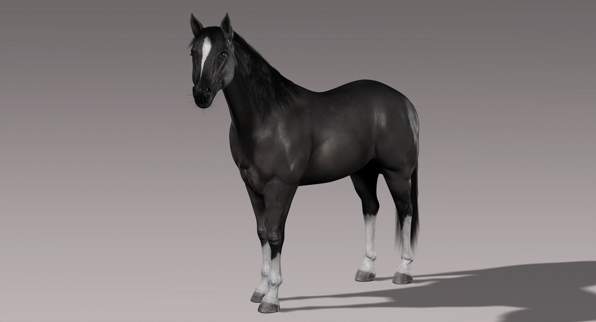 3d horses rigged fur https://p.turbosquid.com/ts-thumb/LS/wnoBuX/DezHt4KB/b1/jpg/1428537452/1920x1080/fit_q87/fdf865f61b88f833e1317564cdd5b7515dd03849/b1.jpg