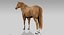 Ensemble de chevaux (RIGGED) (FUR)