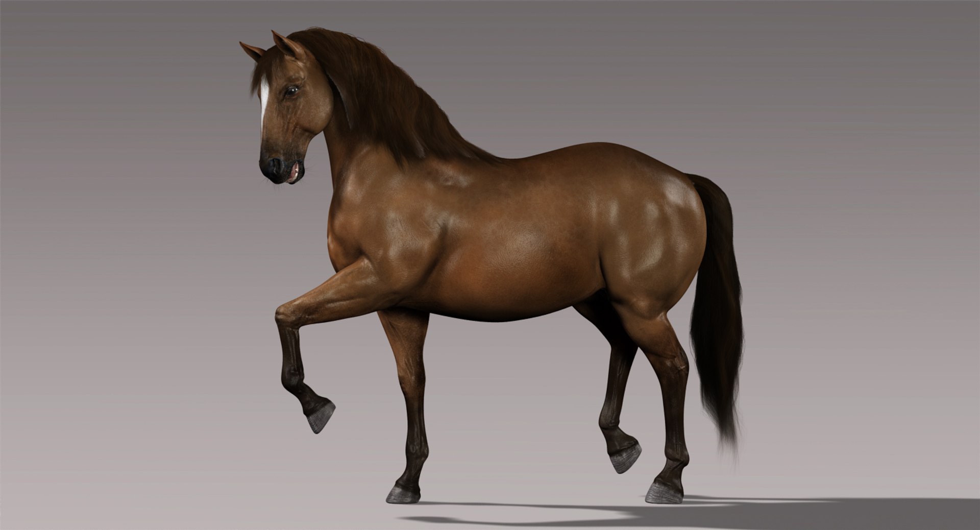 3d horses rigged fur https://p.turbosquid.com/ts-thumb/LS/wnoBuX/EIkdb30K/a2/jpg/1428537399/1920x1080/fit_q87/e970cf7bfea50834510a9ab28040a80e4bcb5aee/a2.jpg