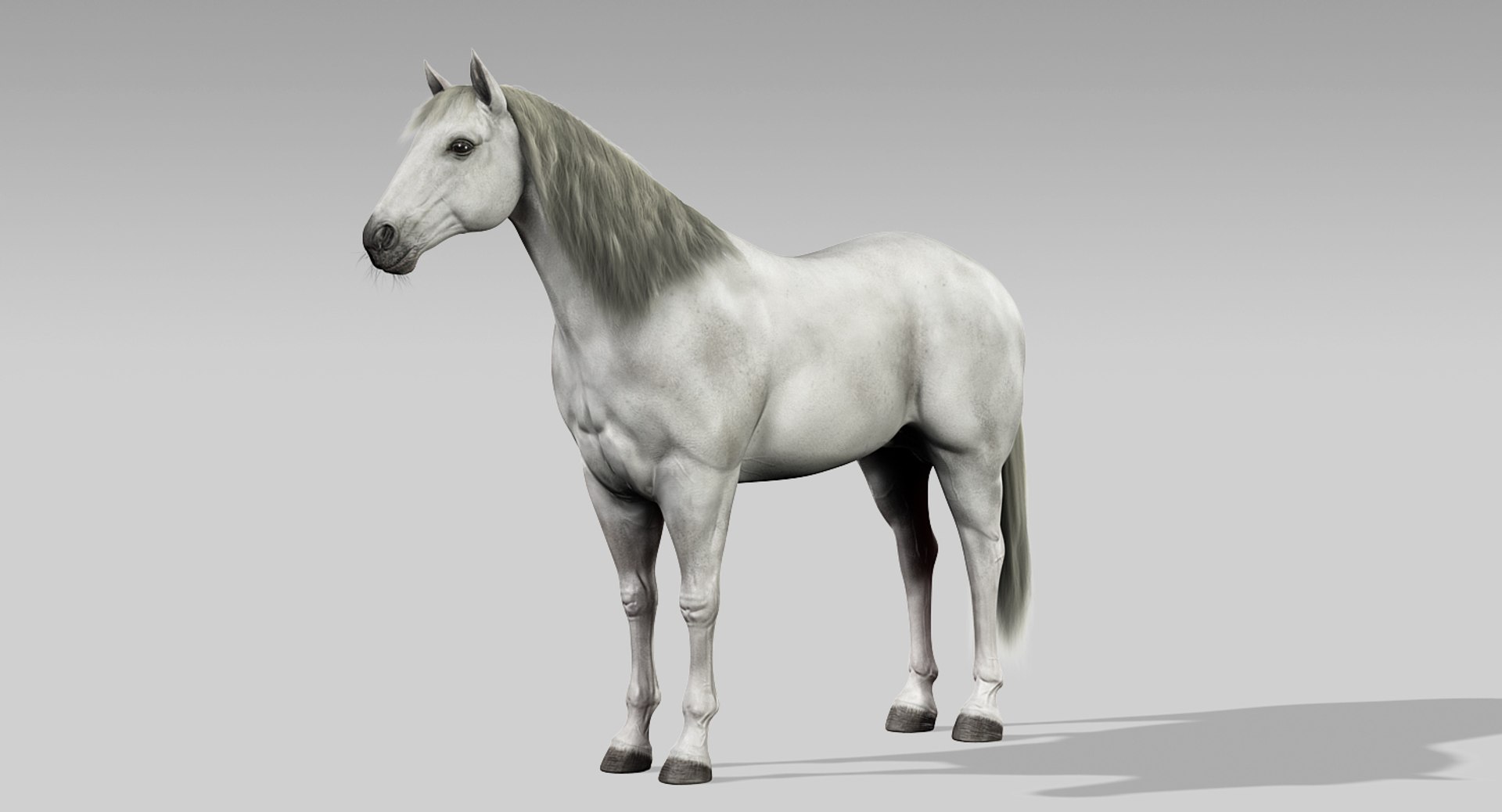 3d horses rigged fur https://p.turbosquid.com/ts-thumb/LS/wnoBuX/GAaZZf3z/4/jpg/1428537340/1920x1080/fit_q87/cc1a2c85fd9a45e311eb0e10caa6a5dc0c4ba1ec/4.jpg