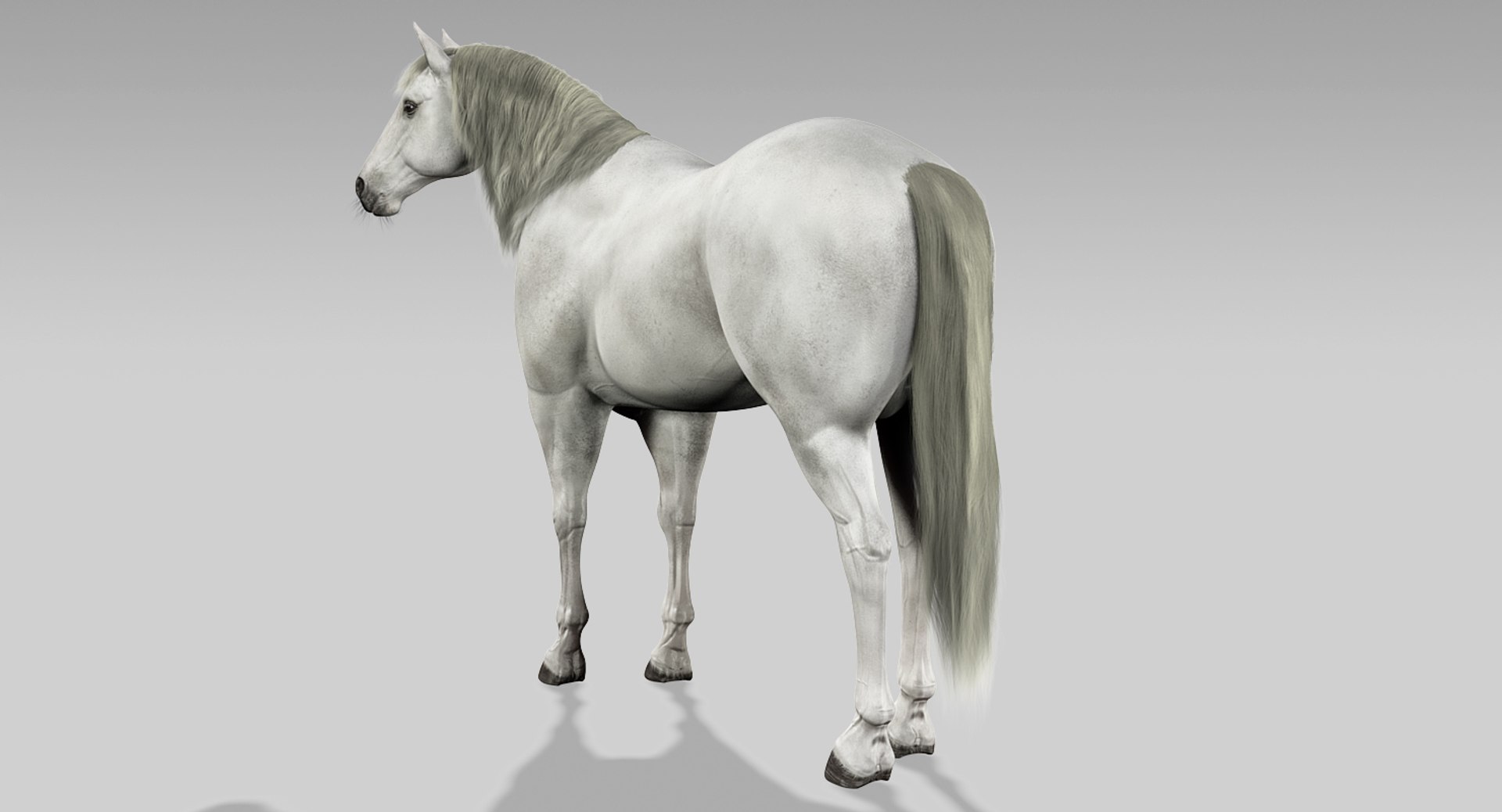 3d horses rigged fur https://p.turbosquid.com/ts-thumb/LS/wnoBuX/GX3QYjEK/3/jpg/1428537340/1920x1080/fit_q87/af22e4be7070da5f21c4830266e3d7530dcef653/3.jpg