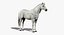 Ensemble de chevaux (RIGGED) (FUR)