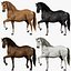 Ensemble de chevaux (RIGGED) (FUR)