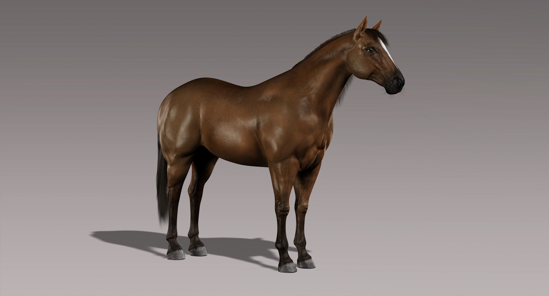 3d horses rigged fur https://p.turbosquid.com/ts-thumb/LS/wnoBuX/IzFoUyvR/turn/jpg/1428537422/1920x1080/turn_fit_q99/a66e15d54389038f7b35e84f1b46870c15bdee7c/turn-1.jpg