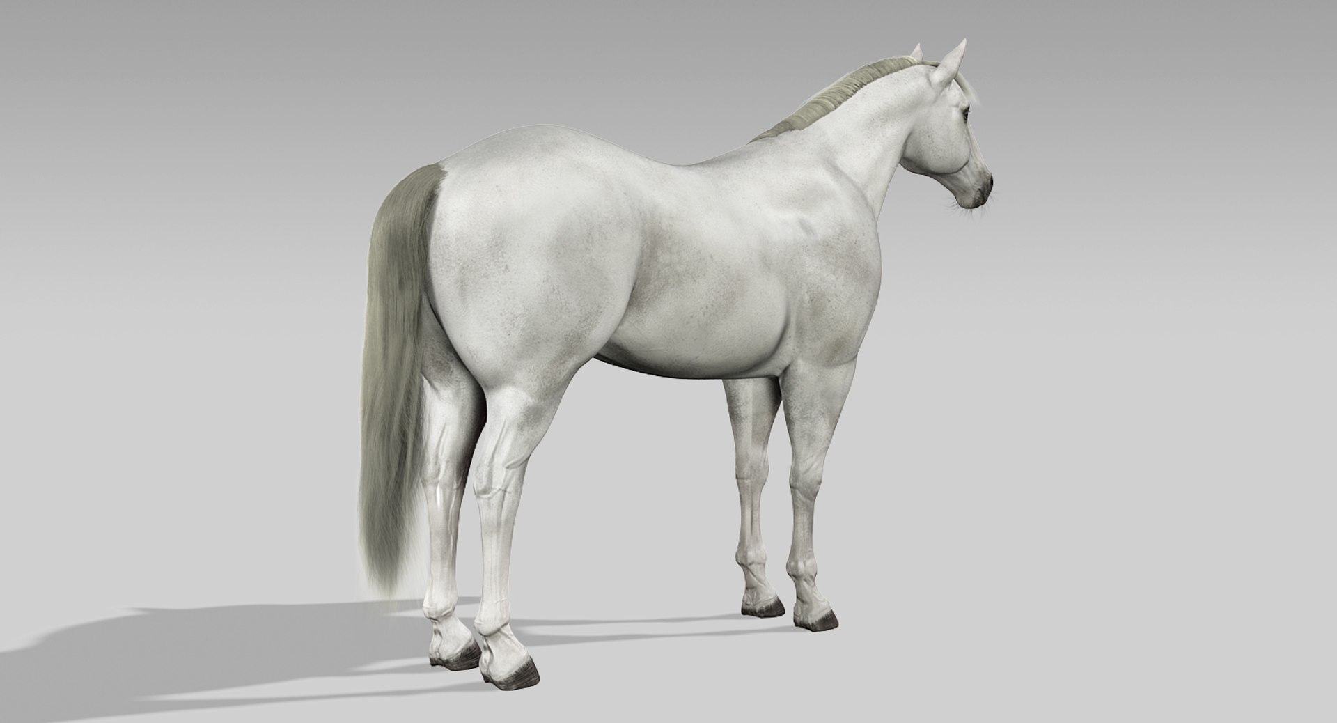 3d horses rigged fur https://p.turbosquid.com/ts-thumb/LS/wnoBuX/NaN1JdYc/6/jpg/1428537340/1920x1080/fit_q87/52b678eed59160a51ef649f08b121d003f75d897/6.jpg