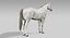 Ensemble de chevaux (RIGGED) (FUR)