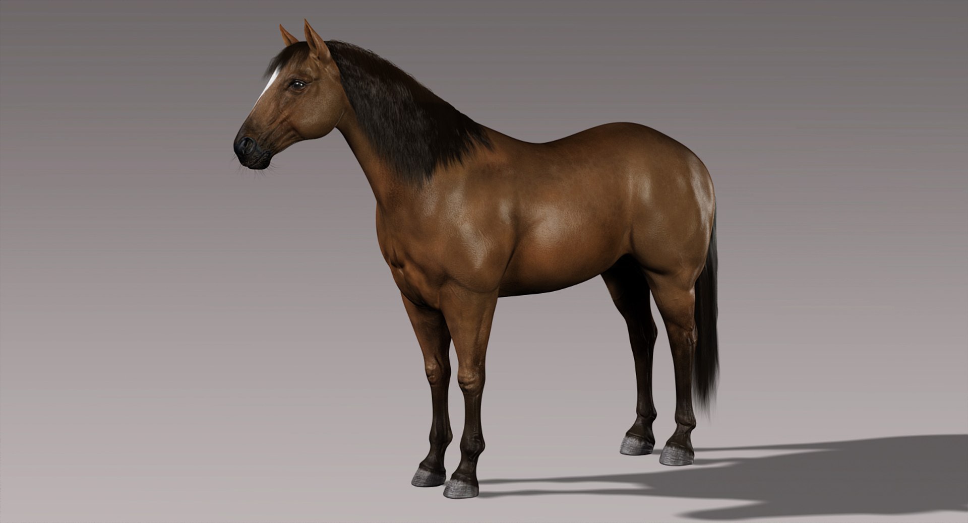 3d horses rigged fur https://p.turbosquid.com/ts-thumb/LS/wnoBuX/SLMVK645/h/jpg/1428537399/1920x1080/fit_q87/54f911e01a5519b82a6371b8de64d4eeb50fa3a9/h.jpg