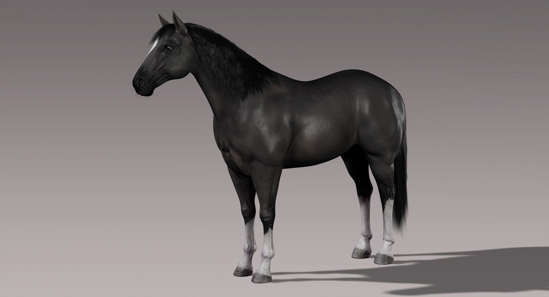 3d horses rigged fur https://p.turbosquid.com/ts-thumb/LS/wnoBuX/X0am2buH/b4/jpg/1428537452/1920x1080/fit_q87/406850691604ac5eb3b5ae977a186fd3258879f1/b4.jpg