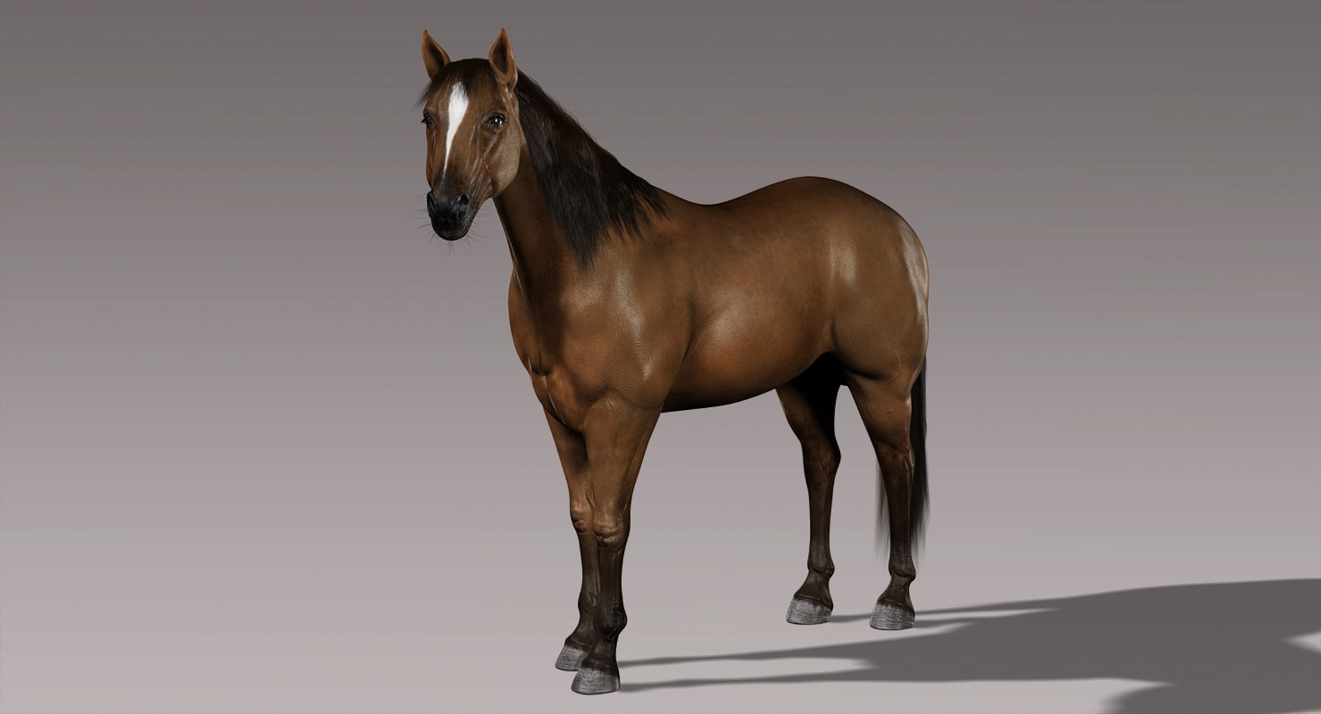 3d horses rigged fur https://p.turbosquid.com/ts-thumb/LS/wnoBuX/Xrvb2WDZ/e/jpg/1428537399/1920x1080/fit_q87/625a68cf30137082208b2ac4e0dca6db63502e19/e.jpg