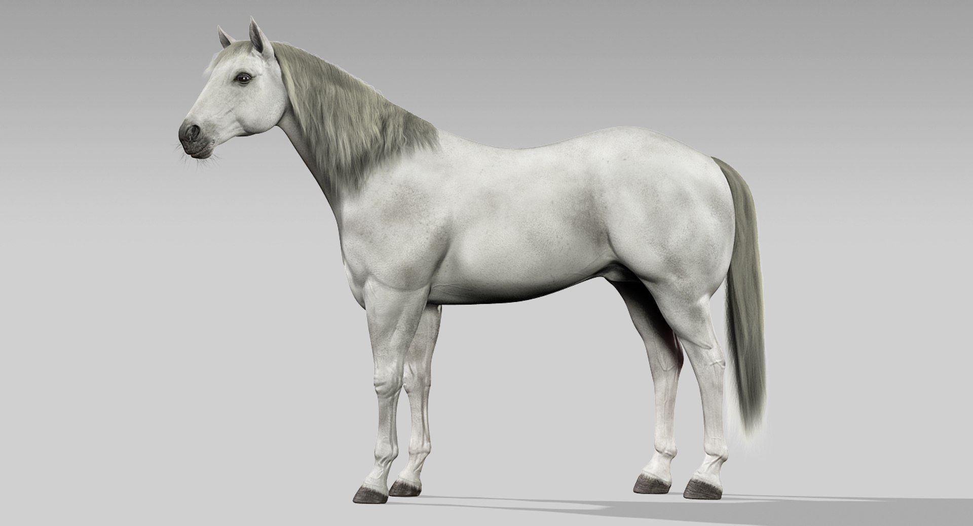 3d horses rigged fur https://p.turbosquid.com/ts-thumb/LS/wnoBuX/ZNT2gN4D/1a/jpg/1428537340/1920x1080/fit_q87/aec4cbf9d9734511ba9cd36997ce40d2526b8572/1a.jpg