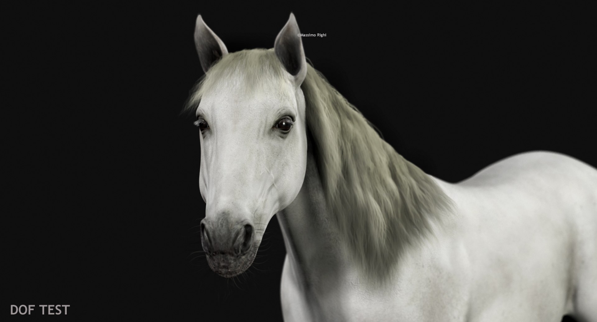 3d horses rigged fur https://p.turbosquid.com/ts-thumb/LS/wnoBuX/aJqwbWZx/dof/jpg/1428537340/1920x1080/fit_q87/f47921dc9c7ad8e00f94db28b1b6e041d0fe015c/dof.jpg