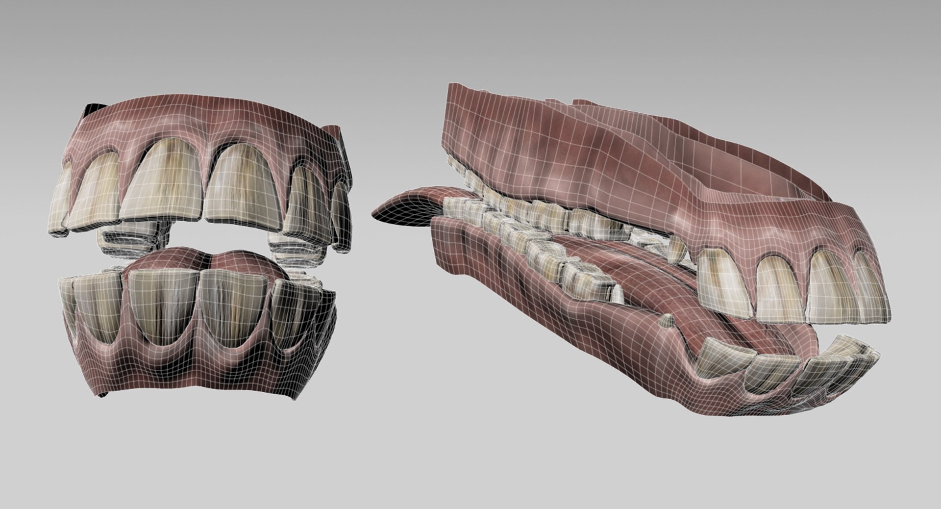 3d horses rigged fur https://p.turbosquid.com/ts-thumb/LS/wnoBuX/bJsr5Zn3/mouth/jpg/1428537482/1920x1080/fit_q87/b39b6d2999ad9a2350d3cb750e8a2c8fc131aa93/mouth.jpg