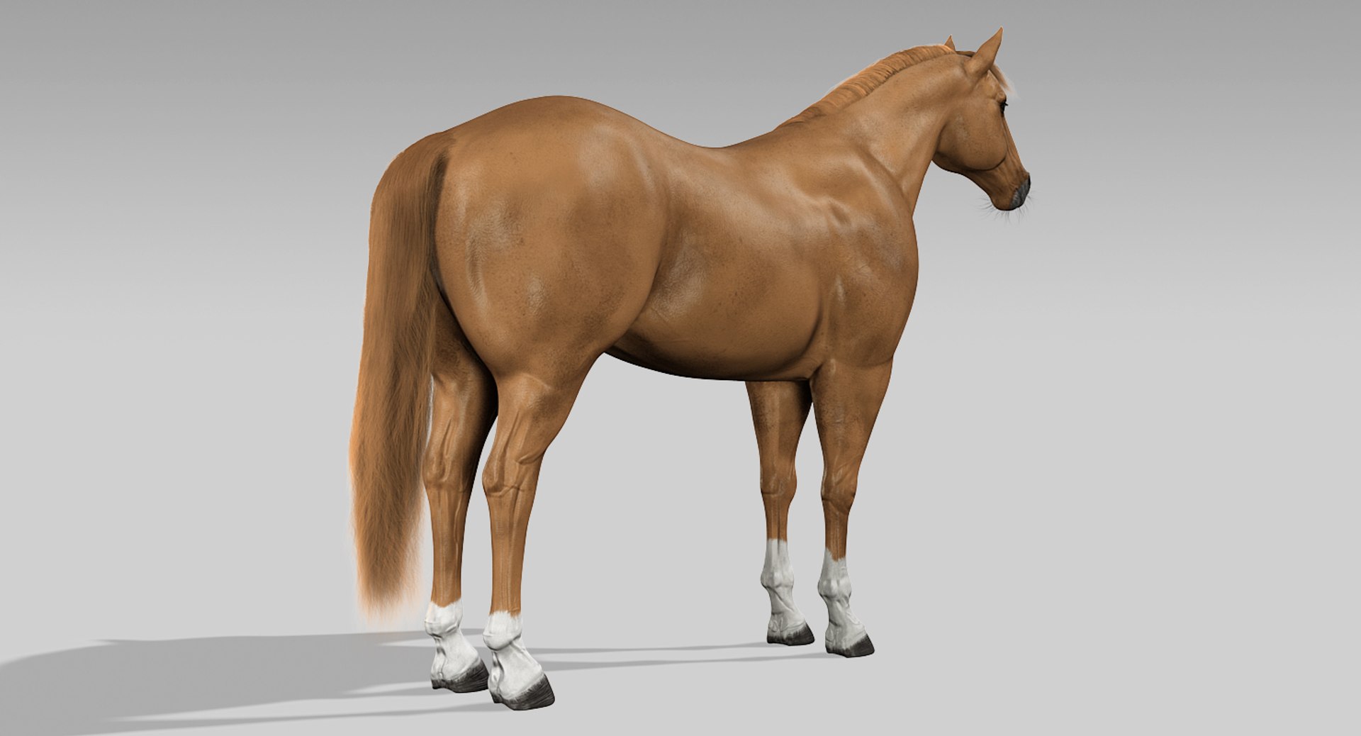3d horses rigged fur https://p.turbosquid.com/ts-thumb/LS/wnoBuX/bfekLMTC/5/jpg/1428537275/1920x1080/fit_q87/67d7974a8ba53d221f031770f6ab3c74c24e75bf/5.jpg