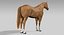 Ensemble de chevaux (RIGGED) (FUR)
