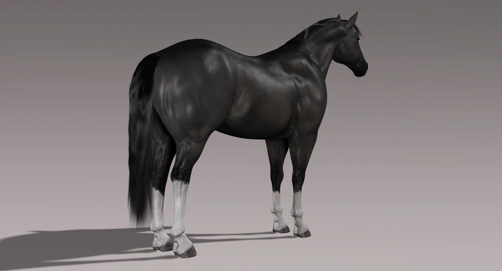 3d horses rigged fur https://p.turbosquid.com/ts-thumb/LS/wnoBuX/dx4nDSYC/b5/jpg/1428537452/1920x1080/fit_q87/bdaee15bc21278b61c0a912b7c26e427e1fc6486/b5.jpg