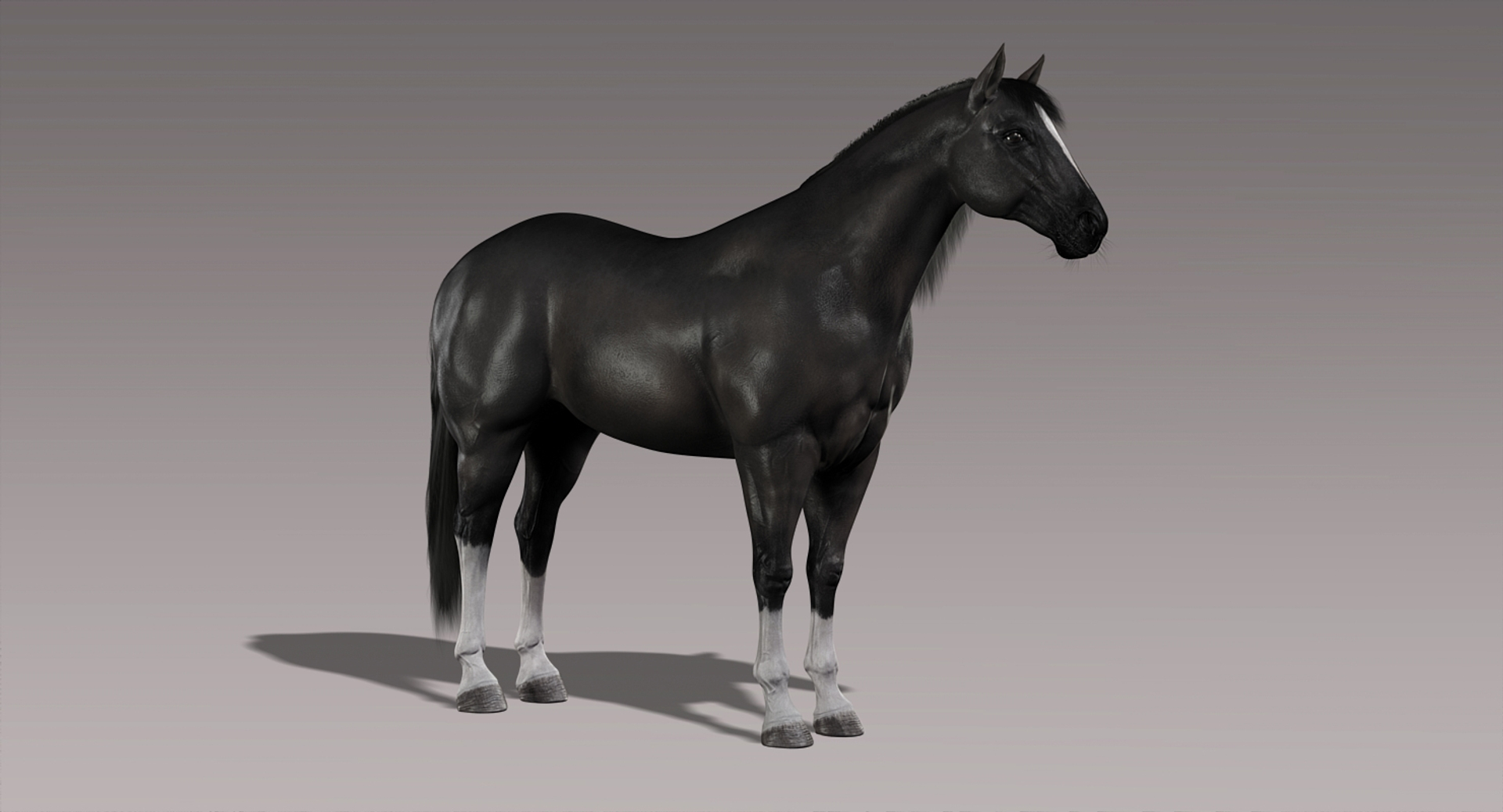 3d horses rigged fur https://p.turbosquid.com/ts-thumb/LS/wnoBuX/g1AvyPPs/turn/jpg/1428537604/1920x1080/turn_fit_q99/7960f3bdde3327becb4155b32ff26b3ca3bd11c3/turn-1.jpg